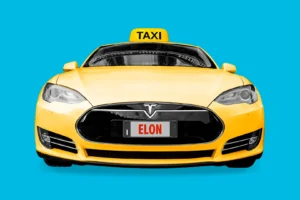 Tesla Robotaxis